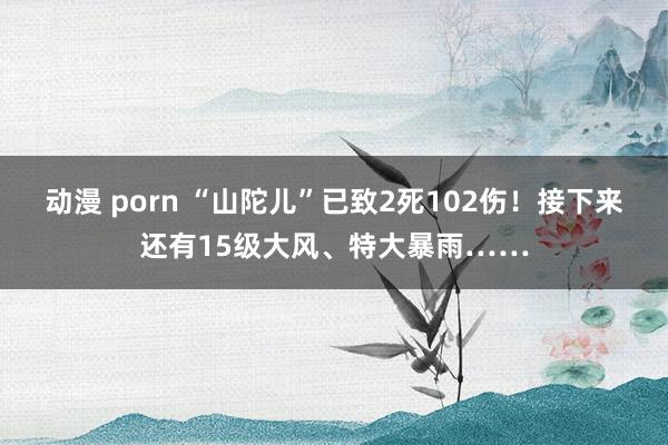   动漫 porn “山陀儿”已致2死102伤！接下来还有15级大风、特大暴雨……