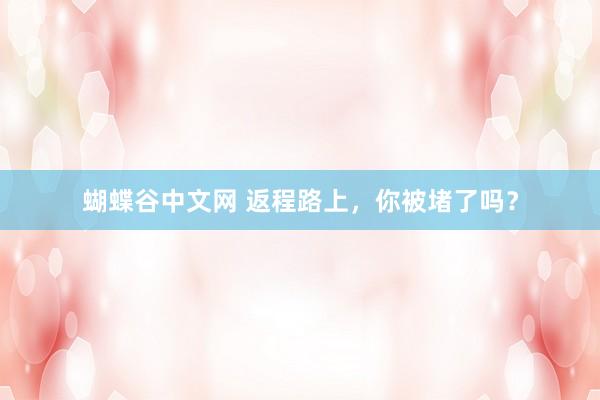   蝴蝶谷中文网 返程路上，你被堵了吗？