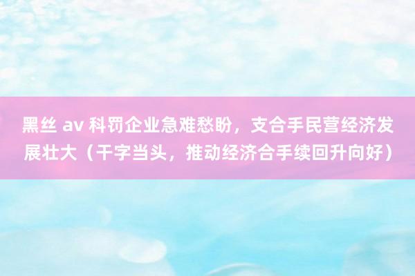   黑丝 av 科罚企业急难愁盼，支合手民营经济发展壮大（干字当头，推动经济合手续回升向好）