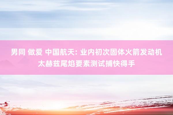   男同 做爱 中国航天: 业内初次固体火箭发动机太赫兹尾焰要素测试捕快得手