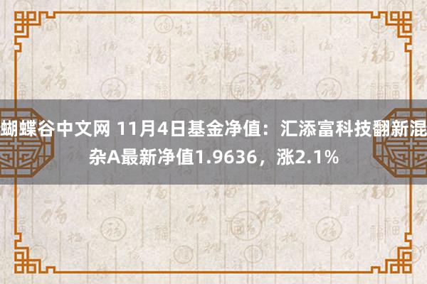   蝴蝶谷中文网 11月4日基金净值：汇添富科技翻新混杂A最新净值1.9636，涨2.1%