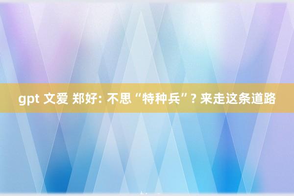   gpt 文爱 郑好: 不思“特种兵”? 来走这条道路