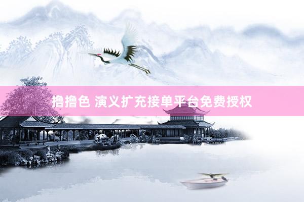   撸撸色 演义扩充接单平台免费授权