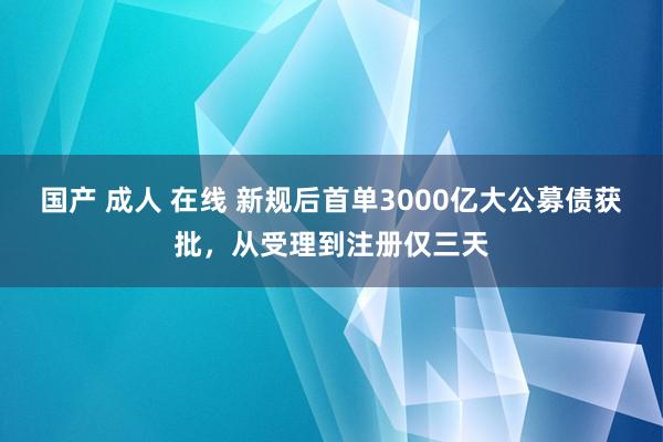   国产 成人 在线 新规后首单3000亿大公募债获批，从受理到注册仅三天