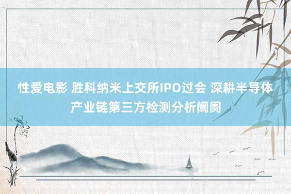   性爱电影 胜科纳米上交所IPO过会 深耕半导体产业链第三方检测分析阛阓