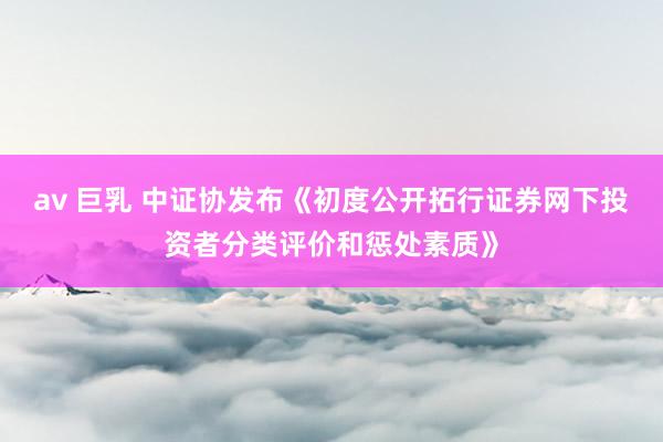   av 巨乳 中证协发布《初度公开拓行证券网下投资者分类评价和惩处素质》
