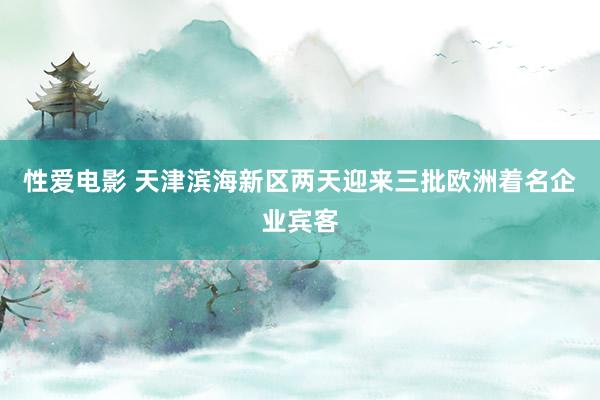   性爱电影 天津滨海新区两天迎来三批欧洲着名企业宾客