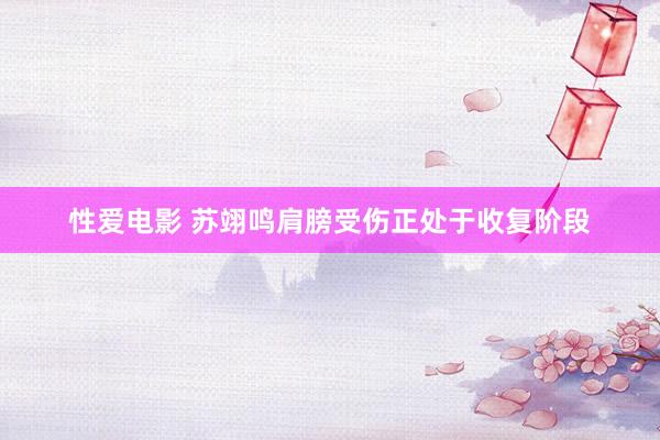   性爱电影 苏翊鸣肩膀受伤正处于收复阶段