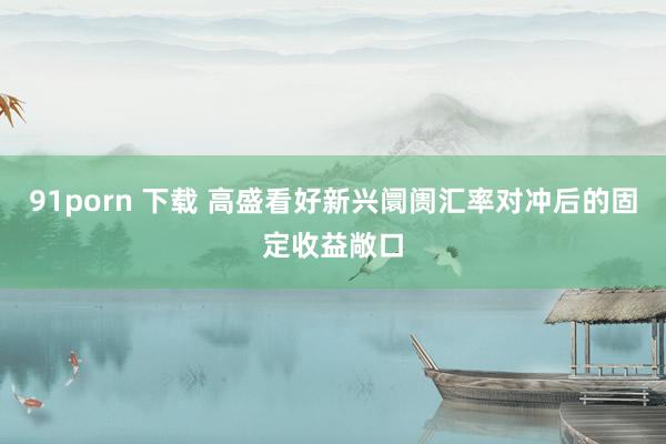   91porn 下载 高盛看好新兴阛阓汇率对冲后的固定收益敞口