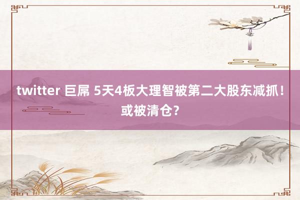   twitter 巨屌 5天4板大理智被第二大股东减抓！或被清仓？