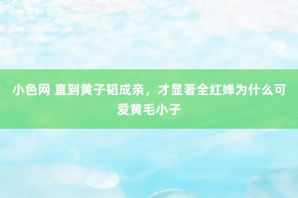   小色网 直到黄子韬成亲，才显著全红婵为什么可爱黄毛小子