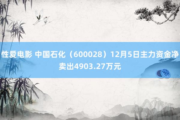   性爱电影 中国石化（600028）12月5日主力资金净卖出4903.27万元