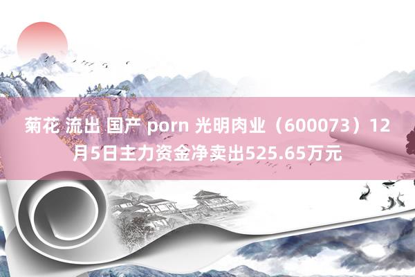   菊花 流出 国产 porn 光明肉业（600073）12月5日主力资金净卖出525.65万元
