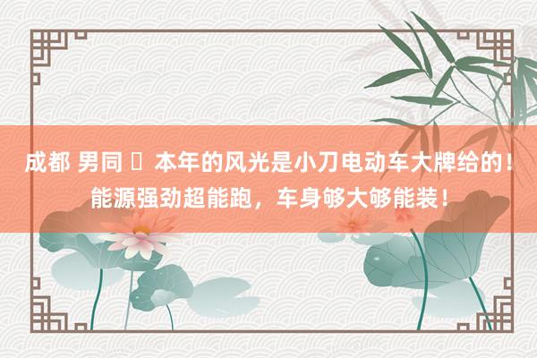   成都 男同 ​本年的风光是小刀电动车大牌给的！能源强劲超能跑，车身够大够能装！