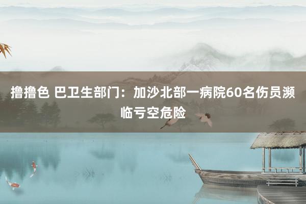   撸撸色 巴卫生部门：加沙北部一病院60名伤员濒临亏空危险