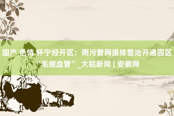   国产 色情 怀宁经开区：雨污管网摸排整治开通园区“毛细血管”_大皖新闻 | 安徽网
