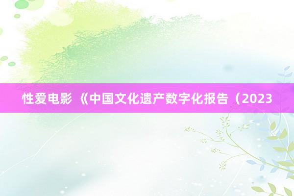   性爱电影 《中国文化遗产数字化报告（2023