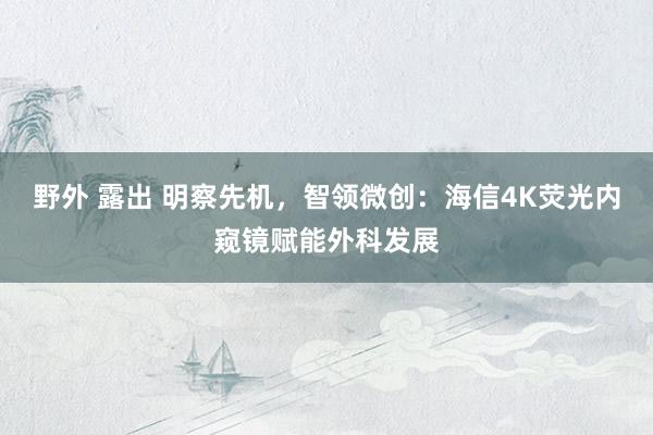   野外 露出 明察先机，智领微创：海信4K荧光内窥镜赋能外科发展