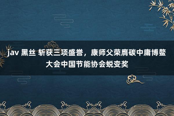   jav 黑丝 斩获三项盛誉，康师父荣膺碳中庸博鳌大会中国节能协会蜕变奖
