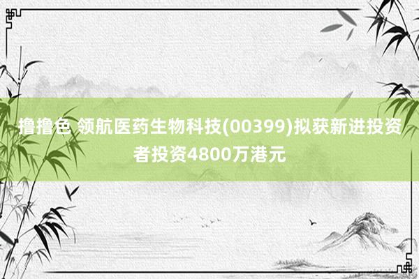   撸撸色 领航医药生物科技(00399)拟获新进投资者投资4800万港元