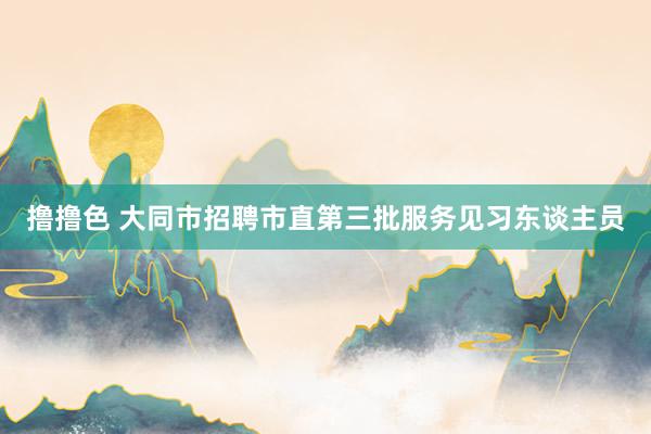 撸撸色 大同市招聘市直第三批服务见习东谈主员