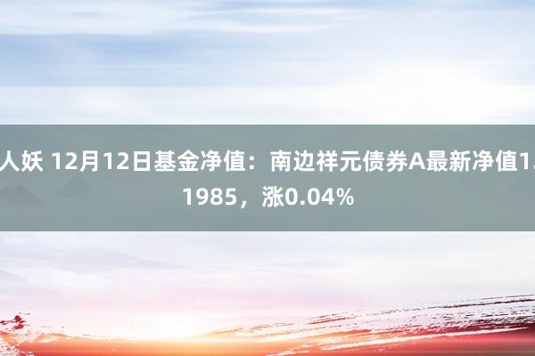   人妖 12月12日基金净值：南边祥元债券A最新净值1.1985，涨0.04%