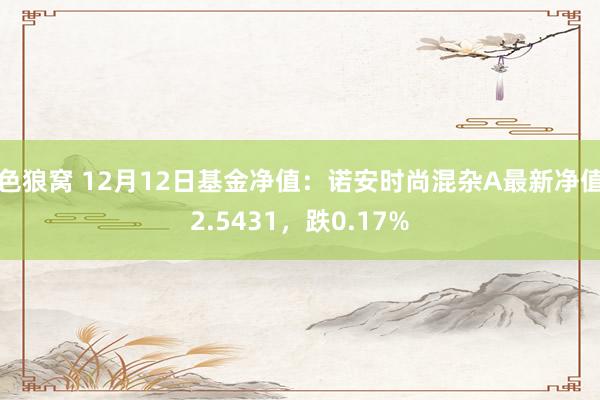   色狼窝 12月12日基金净值：诺安时尚混杂A最新净值2.5431，跌0.17%