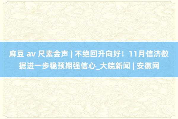   麻豆 av 尺素金声 | 不绝回升向好！11月信济数据进一步稳预期强信心_大皖新闻 | 安徽网