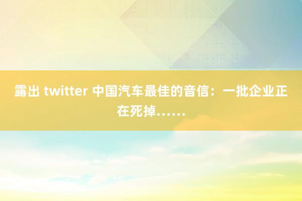   露出 twitter 中国汽车最佳的音信：一批企业正在死掉……