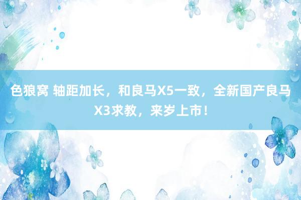   色狼窝 轴距加长，和良马X5一致，全新国产良马X3求教，来岁上市！