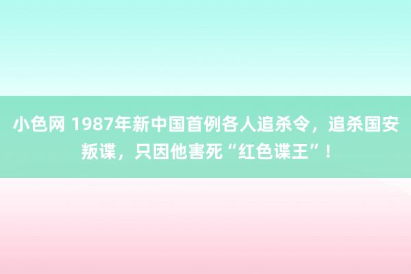   小色网 1987年新中国首例各人追杀令，追杀国安叛谍，只因他害死“红色谍王”！