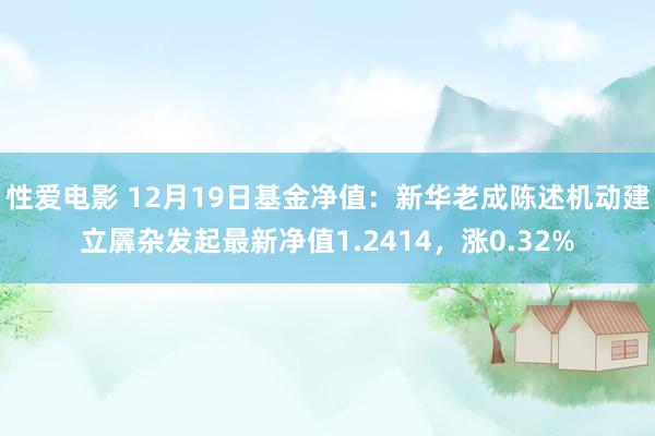   性爱电影 12月19日基金净值：新华老成陈述机动建立羼杂发起最新净值1.2414，涨0.32%