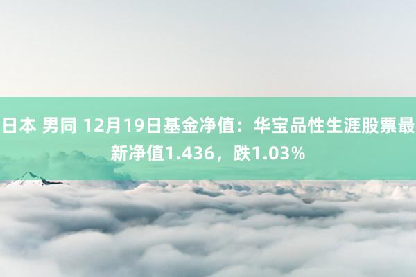   日本 男同 12月19日基金净值：华宝品性生涯股票最新净值1.436，跌1.03%
