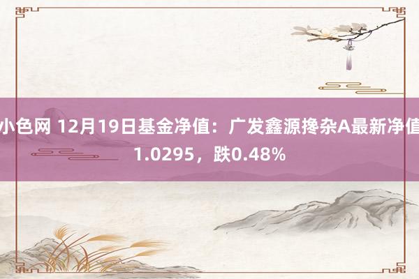   小色网 12月19日基金净值：广发鑫源搀杂A最新净值1.0295，跌0.48%