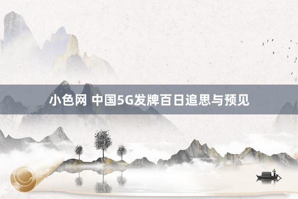   小色网 中国5G发牌百日追思与预见