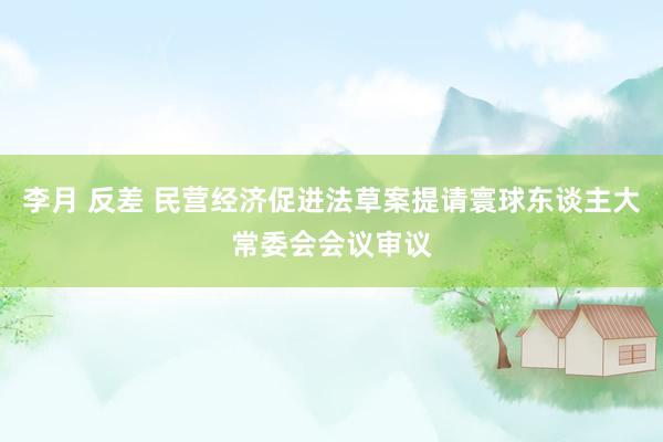   李月 反差 民营经济促进法草案提请寰球东谈主大常委会会议审议