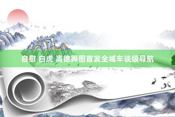   自慰 白虎 高德舆图首发全域车谈级导航