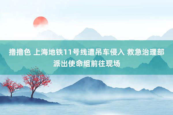   撸撸色 上海地铁11号线遭吊车侵入 救急治理部派出使命组前往现场