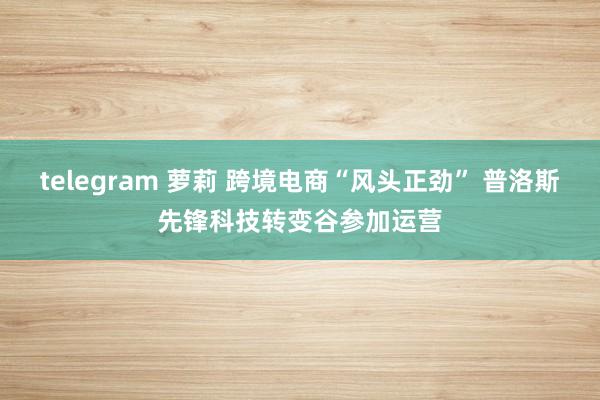telegram 萝莉 跨境电商“风头正劲” 普洛斯先锋科技转变谷参加运营