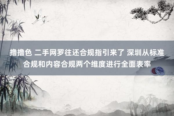   撸撸色 二手网罗往还合规指引来了 深圳从标准合规和内容合规两个维度进行全面表率