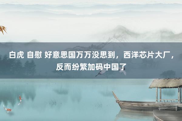   白虎 自慰 好意思国万万没思到，西洋芯片大厂，反而纷繁加码中国了