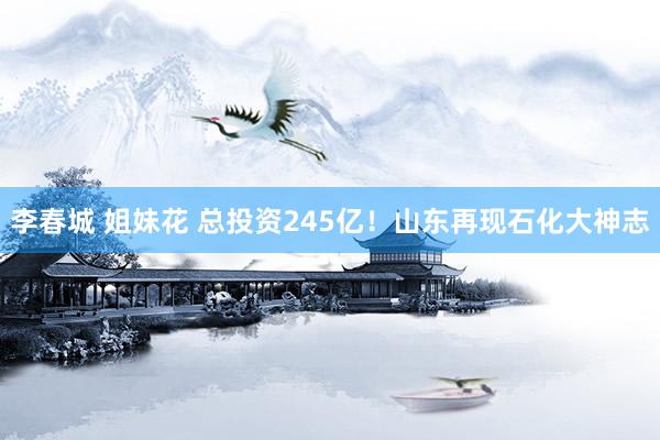   李春城 姐妹花 总投资245亿！山东再现石化大神志