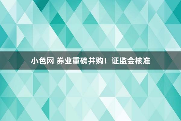   小色网 券业重磅并购！证监会核准
