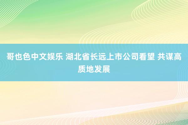   哥也色中文娱乐 湖北省长远上市公司看望 共谋高质地发展