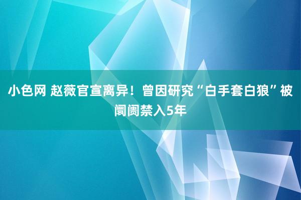   小色网 赵薇官宣离异！曾因研究“白手套白狼”被阛阓禁入5年
