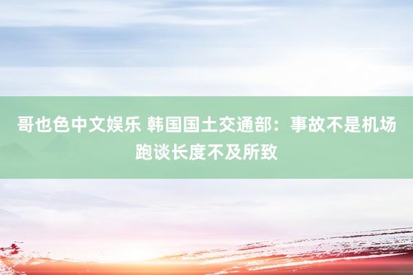   哥也色中文娱乐 韩国国土交通部：事故不是机场跑谈长度不及所致