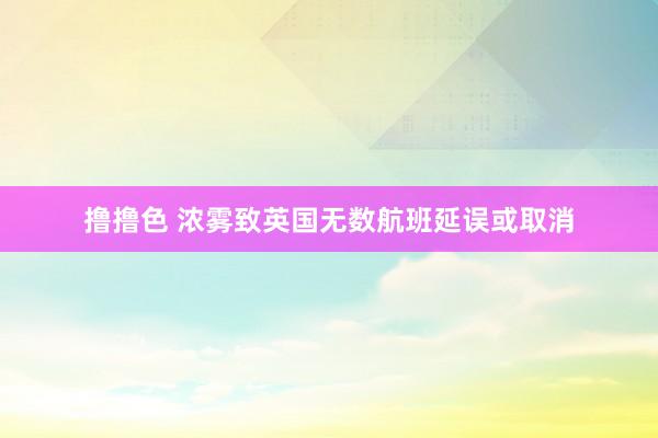   撸撸色 浓雾致英国无数航班延误或取消