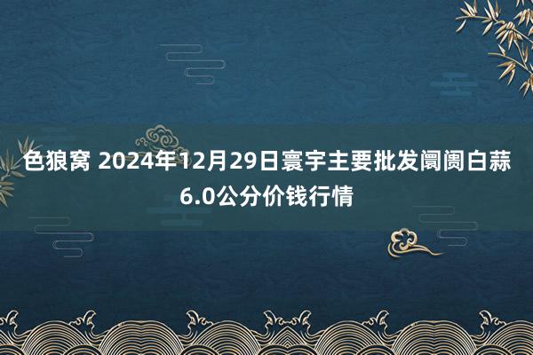   色狼窝 2024年12月29日寰宇主要批发阛阓白蒜6.0公分价钱行情