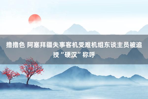   撸撸色 阿塞拜疆失事客机受难机组东谈主员被追授“硬汉”称呼