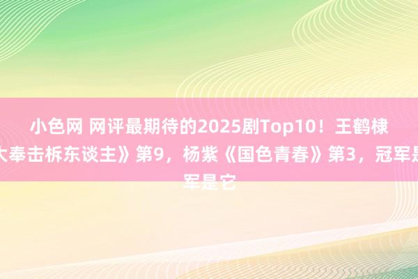   小色网 网评最期待的2025剧Top10！王鹤棣《大奉击柝东谈主》第9，杨紫《国色青春》第3，冠军是它